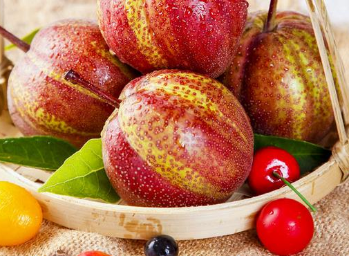 Pyrus pyrifolia 'Nijisseiki'🌈Rainbow Pear Seeds