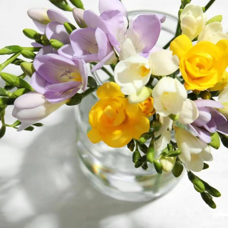 Freesia Bulbs - Mix colors