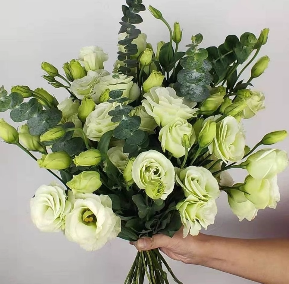 Mixed-Color Lisianthus