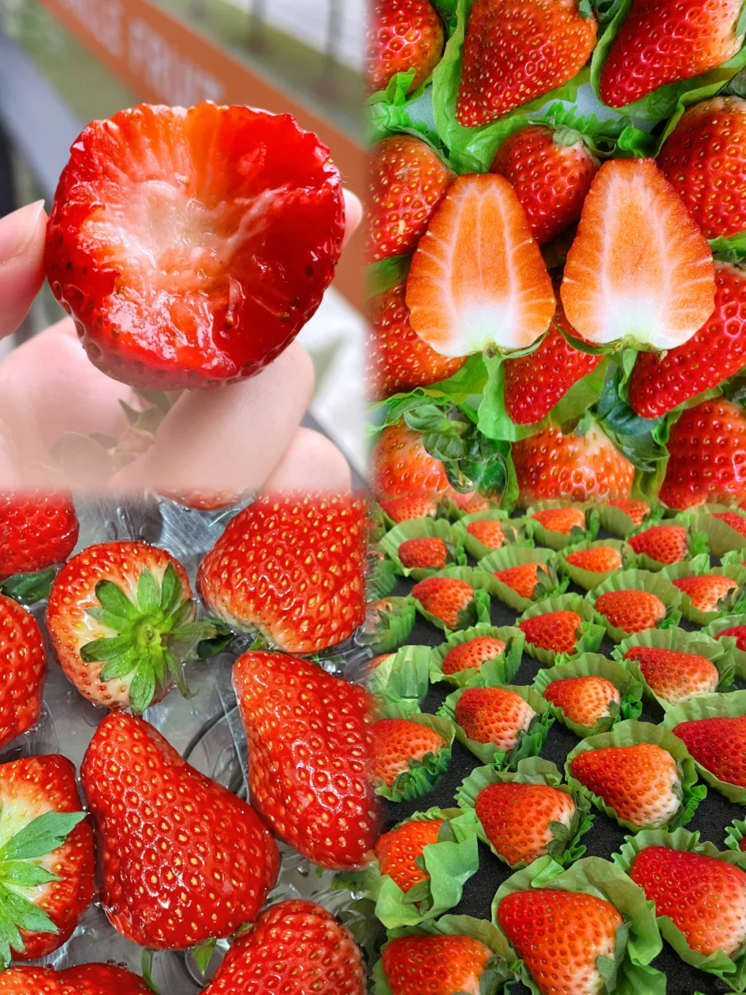 🪴Rare Strawberry Fruits Seeds🍓Various Strawberry