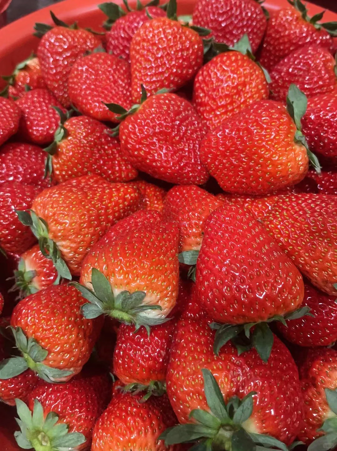 🪴Rare Strawberry Fruits Seeds🍓Various Strawberry