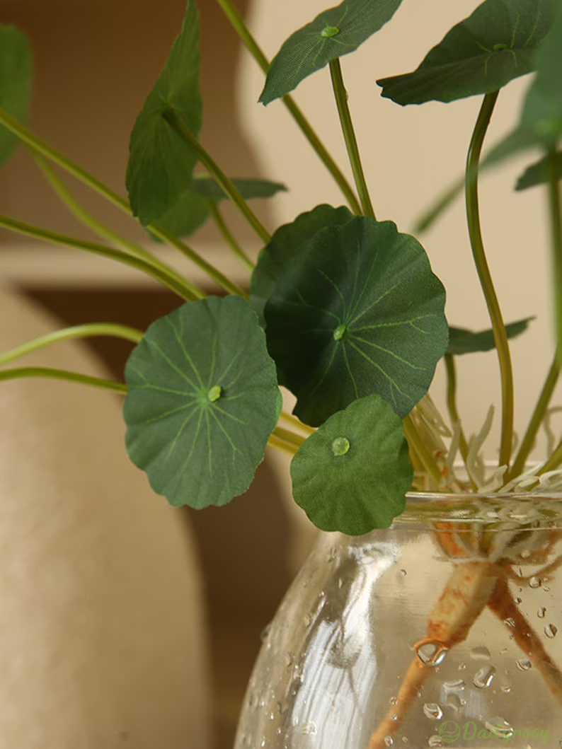 Copperleaf Seeds: Grow Your Own Luck and Prosperity! 🌿💰