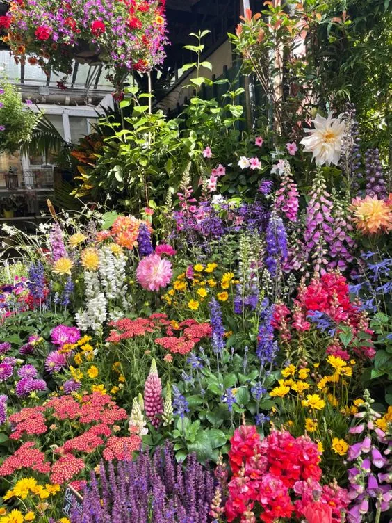 Mixed Perennial Flowers Seeds-Over 60 kinds mixed