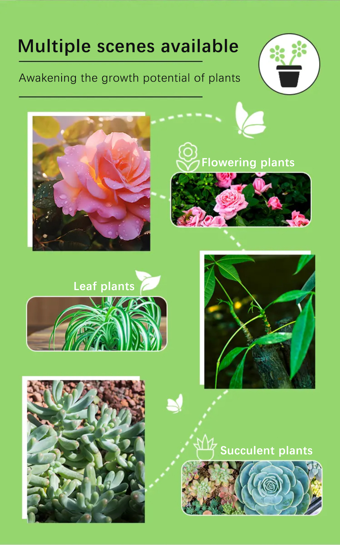 RSU Plant Food Spikes - Universal Type