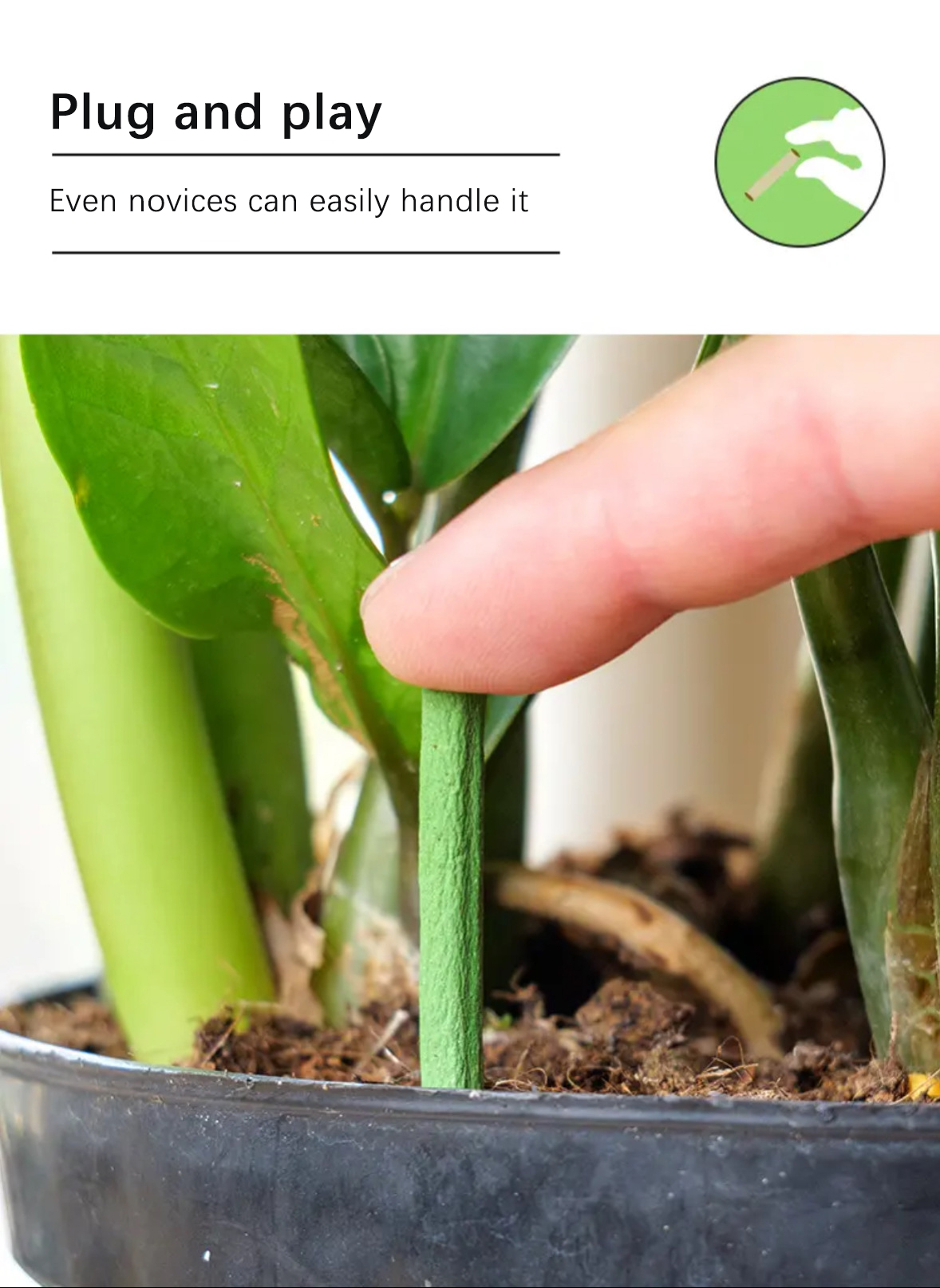 RSU Plant Food Spikes - Universal Type