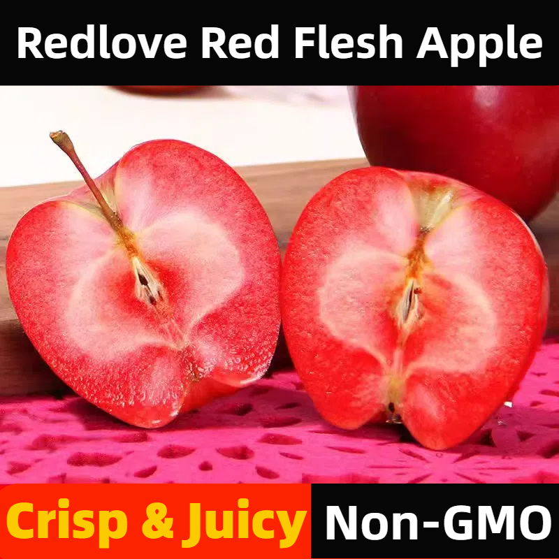 Redlove Red Flesh Apple Tree Seeds 🍎✨