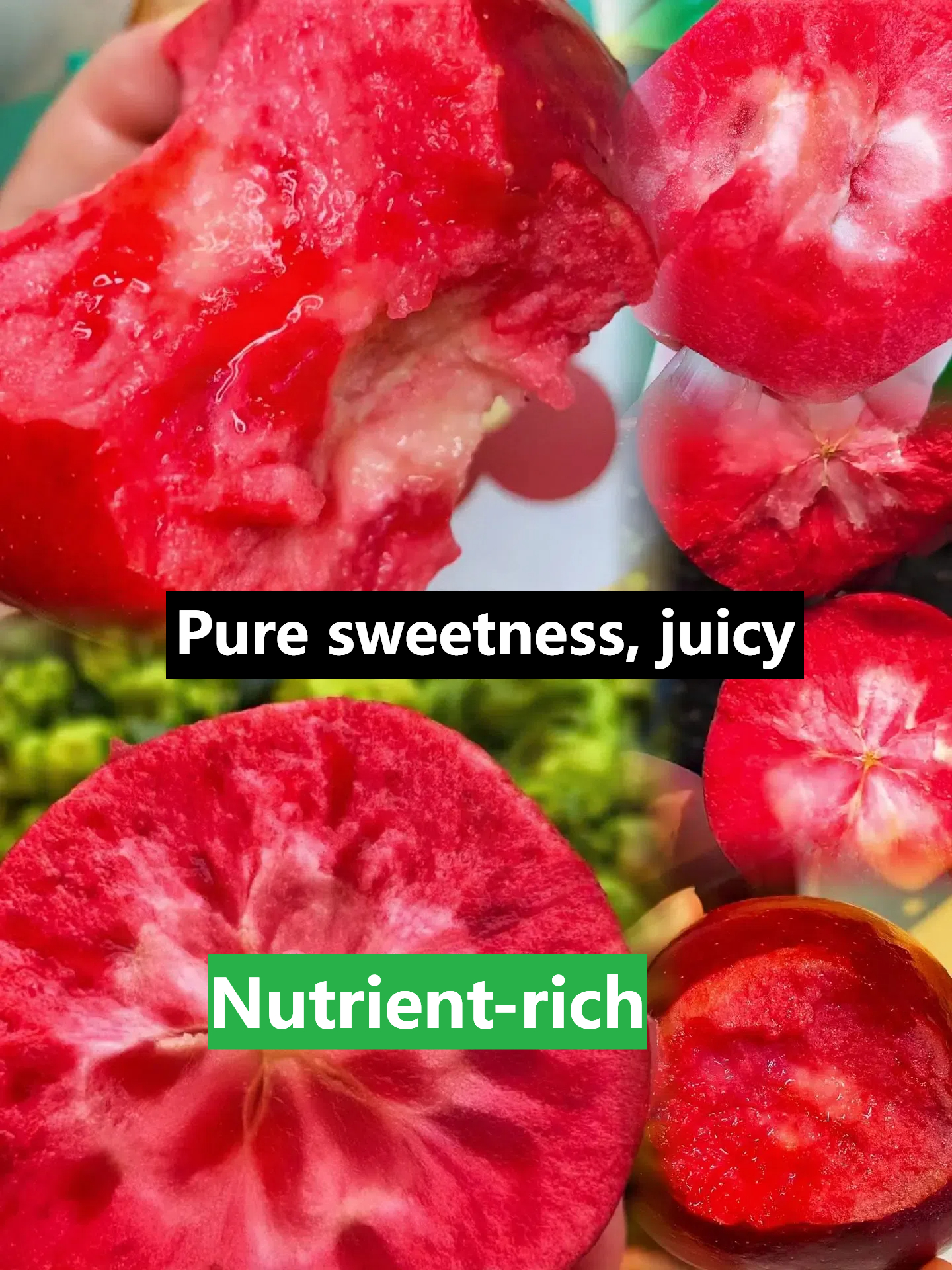 Redlove Red Flesh Apple Tree Seeds 🍎✨