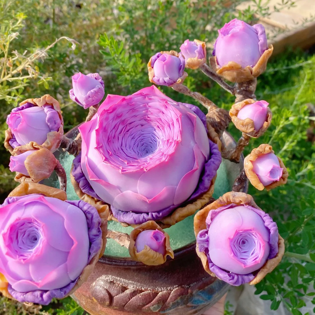 Bergrosensamen – Seltene Sukkulenten – Erhältlich in drei Farben