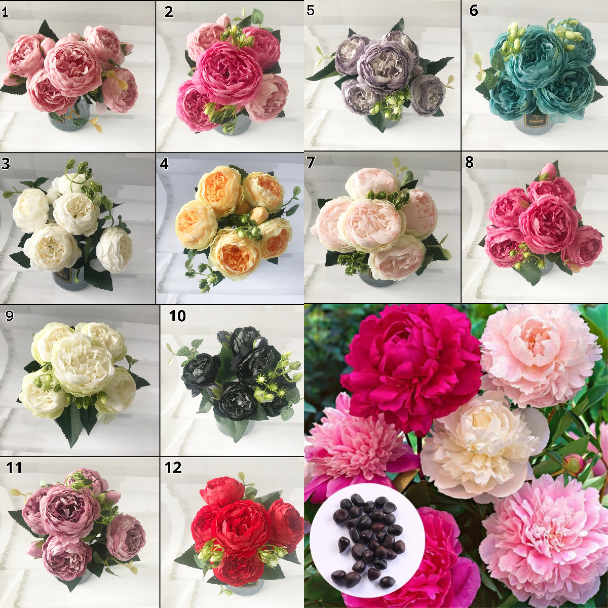 Mix 12 Colors- Moutan Peony Flower Seeds