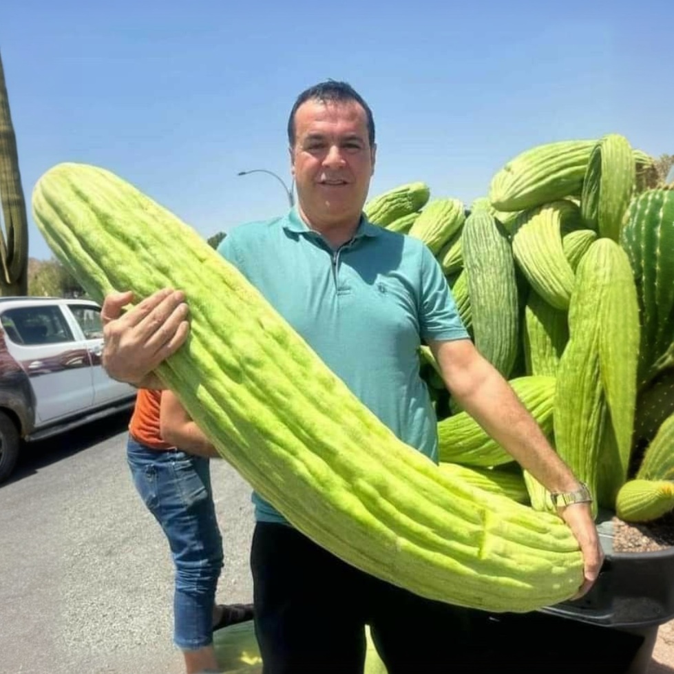 🔥 Huge fruits and vegetables