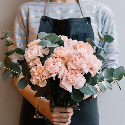 Carnation Seeds - La France-chloriseeds