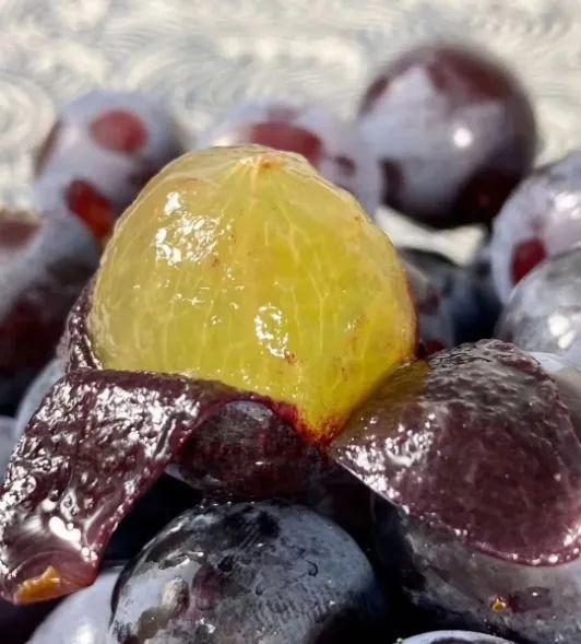 Arctic Red Grapes Seeds🍇