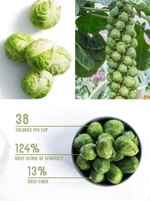 🥦Four-Season Brussels Sprouts Seeds