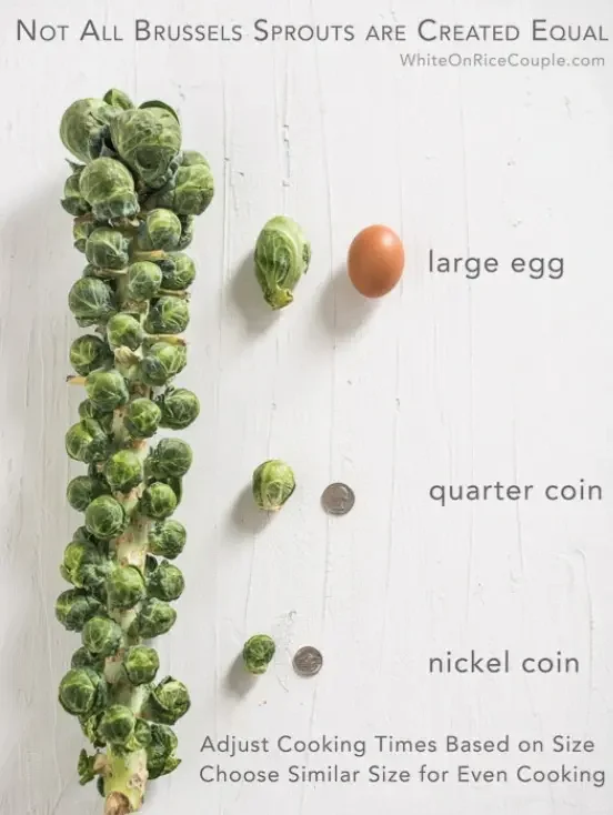 🥦Four-Season Brussels Sprouts Seeds