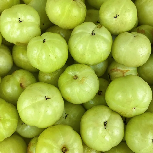 Red-Skinned Phyllanthus emblica