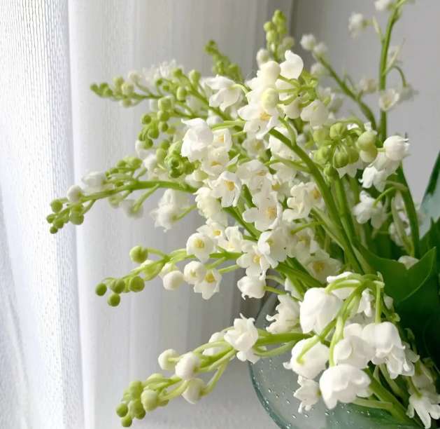 💐Lily of the Valley - Happiness Arrives
