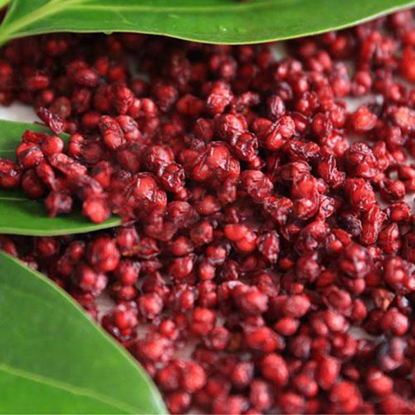Egrow 50Pcs（100Pcs）/Pack Schisandra Seeds Chinese Magnolia Vine Edible Garden Fruit Tree Seed DIY Plants-chloriseeds