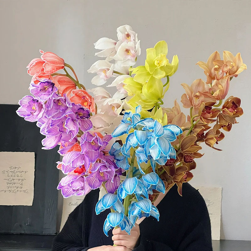 Cymbidium Orchid Seeds, Rare Cymbidium Seeds