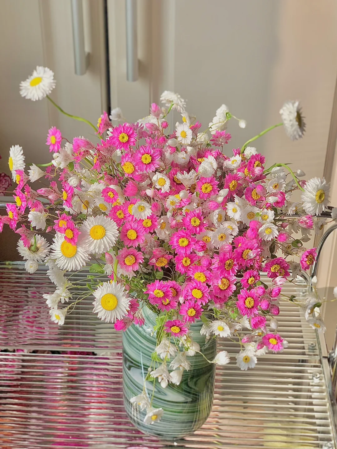 Everlasting Daisy Seeds