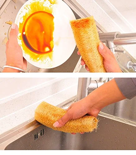 Loofah Seeds, Luffa aegyptica Seeds