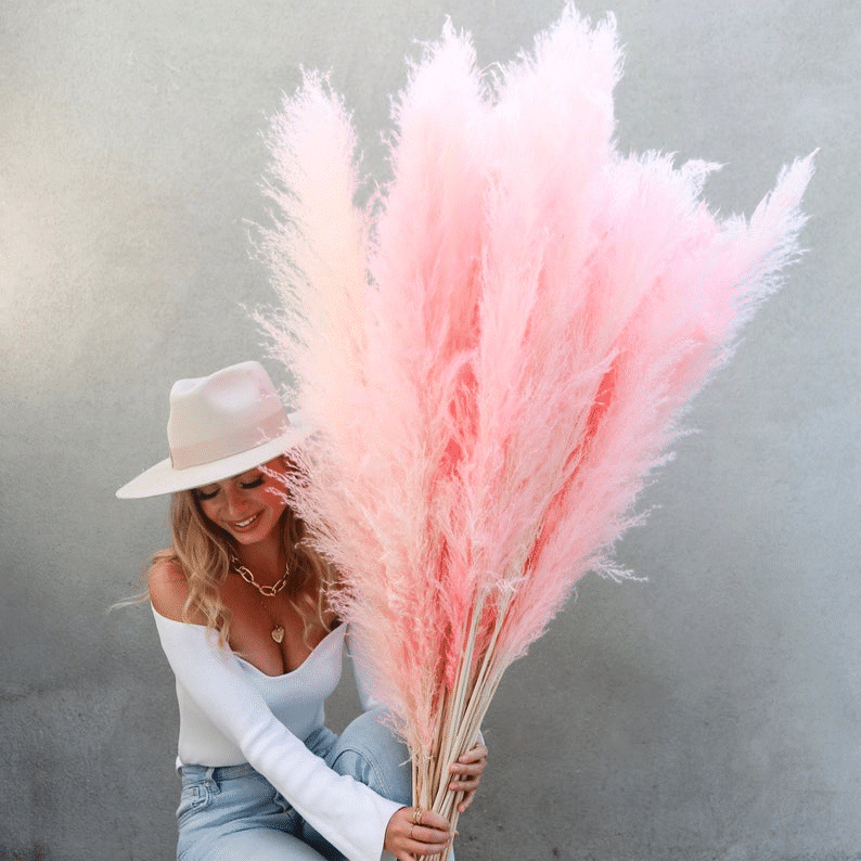 Pampas Grass Magic Garden Seeds-chloriseeds