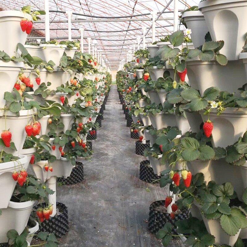 🌼Plant Festival Special50%OFF-Stand Stacking Planters Strawberry Planting Pots-chloriseeds