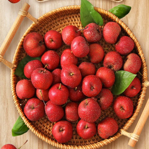 Hawthorn Tree Organic Seeds