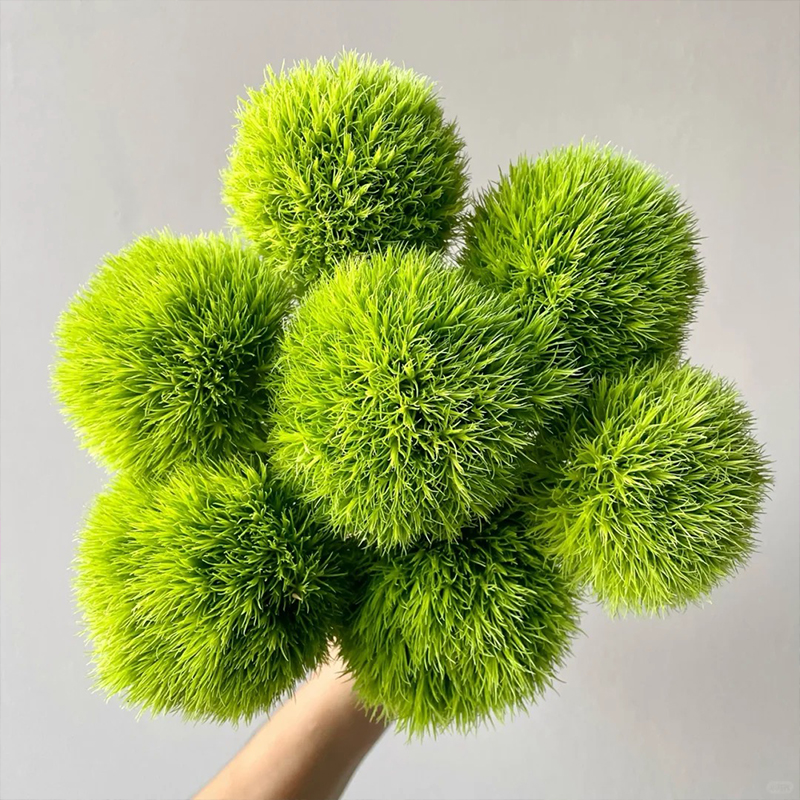 💖Rabatt zum halben Preis✨Dianthus-Blumensamen🌈Regenbogenserie