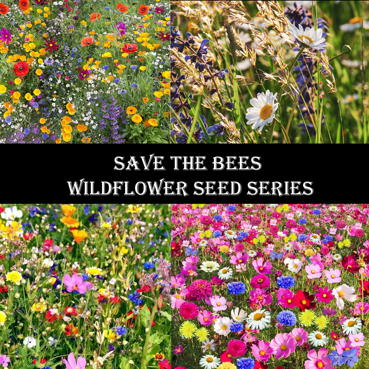 Save Bees Wildflower Seed Series - Pure Non-GMO Flower Seeds
