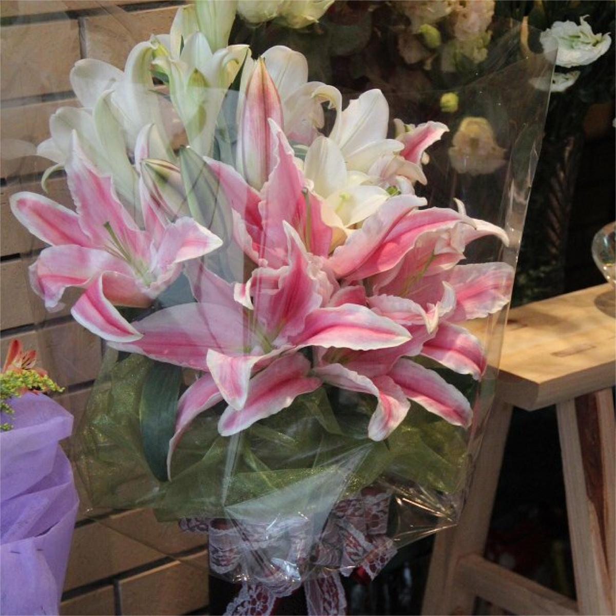 Oriental Perfume Lily Bulbs