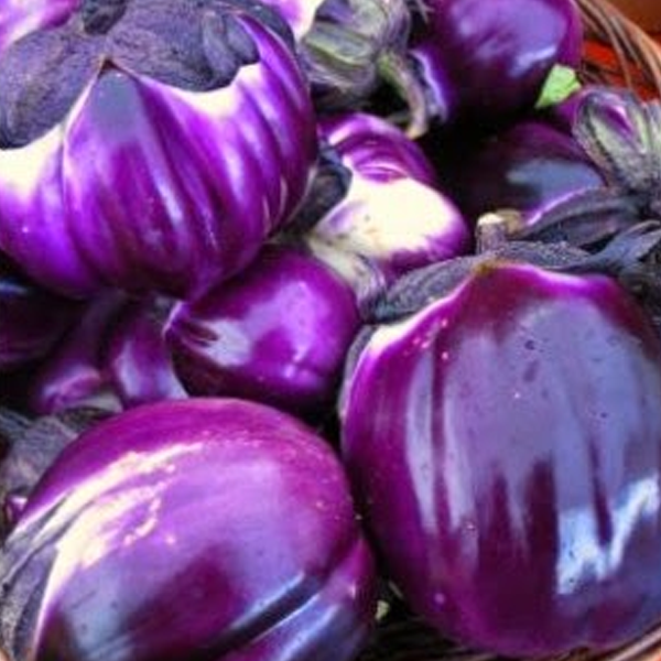 Barbarella Purple Eggplant Vegetable Seeds-chloriseeds