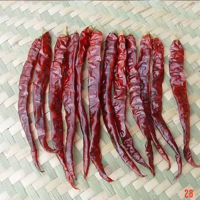 Lady Beauty Pepper Seeds