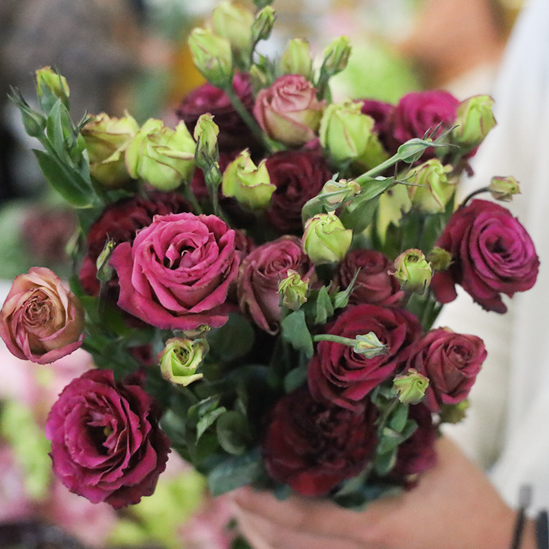 Multicolor Lisianthus(Eustoma grandiflorum) - 200 seeds