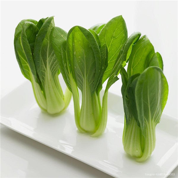 All year round 200pcs Chinese cabbage seeds-chloriseeds