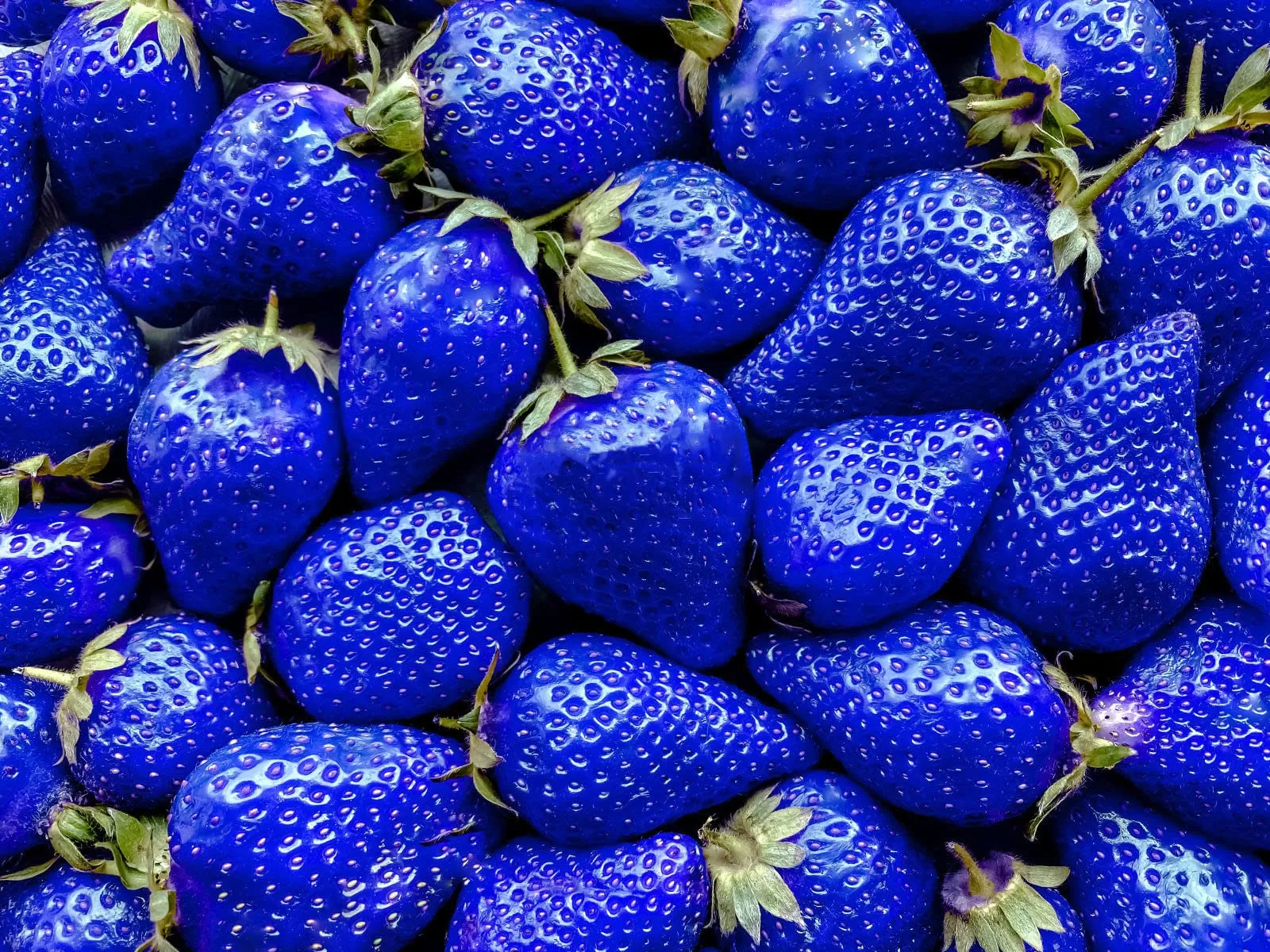 🪴Rare Strawberry Fruits Seeds🍓Various Strawberry