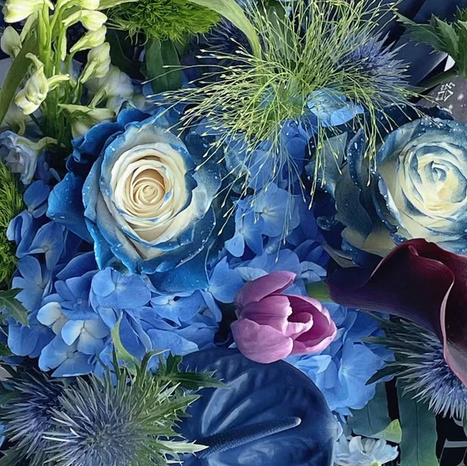 Starry Galaxy Rose - Rare Rose