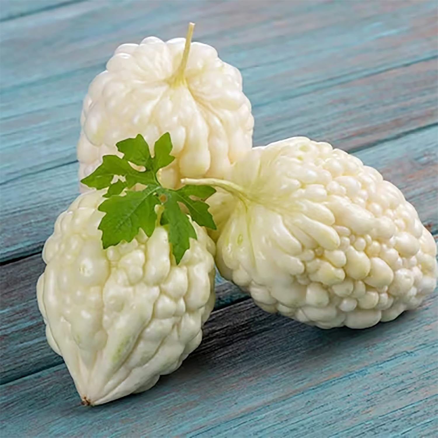 Apple Bitter Melon Seeds