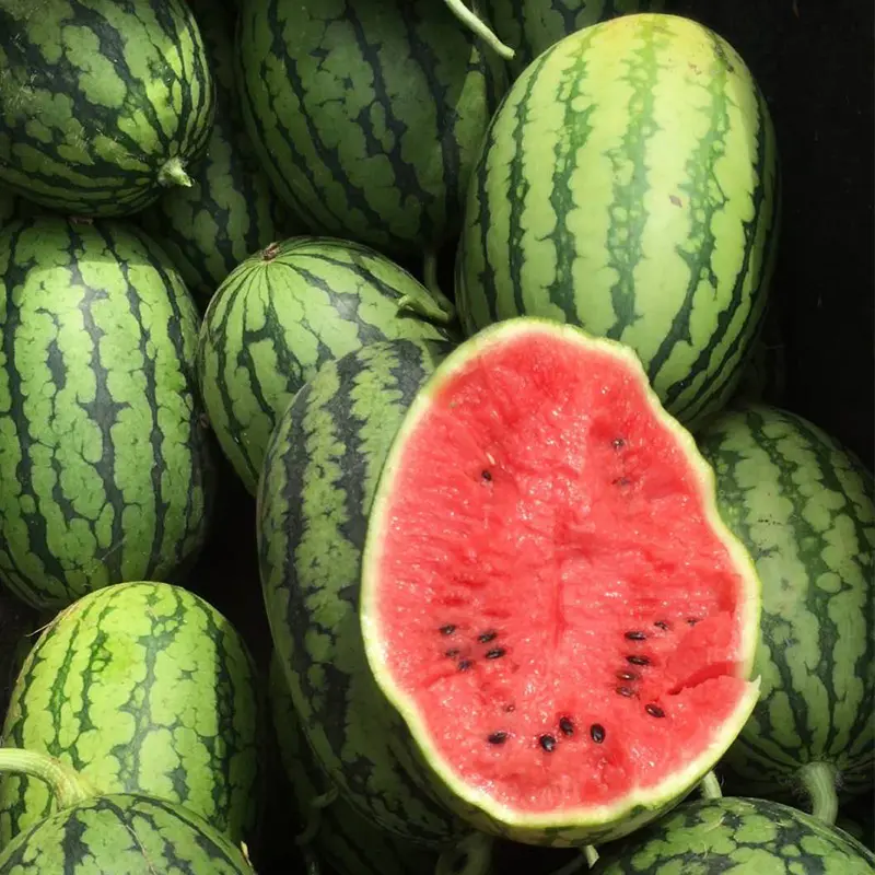 thin skin 2K Mini Watermelons Seeds