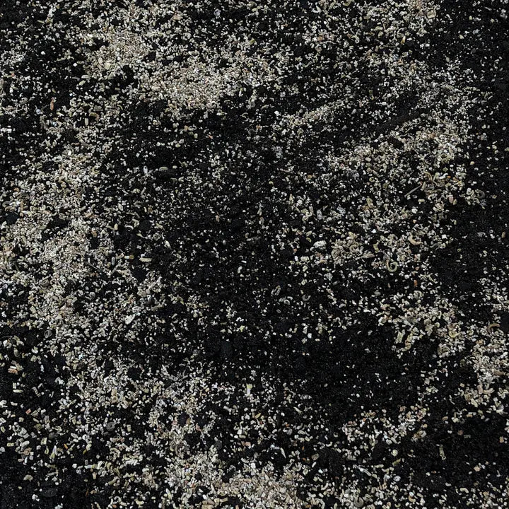 Wildflower Seeds Shaker Bag, Sunny Meadow Flower Mix-chloriseeds