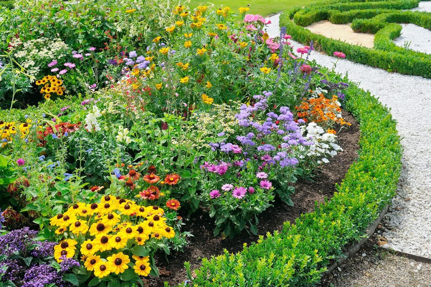 Mixed Perennial Flowers for All Seasons – 50+ Kinds