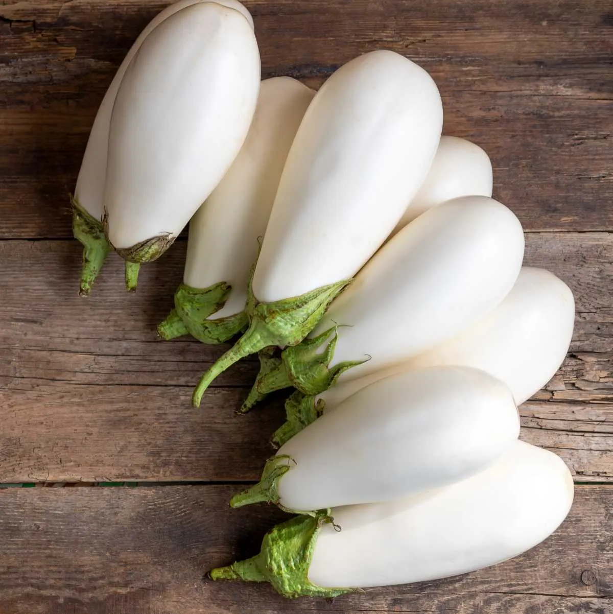 🍆 Green Can Eggplant Seeds – High-Yield, Flavorful & Adaptable