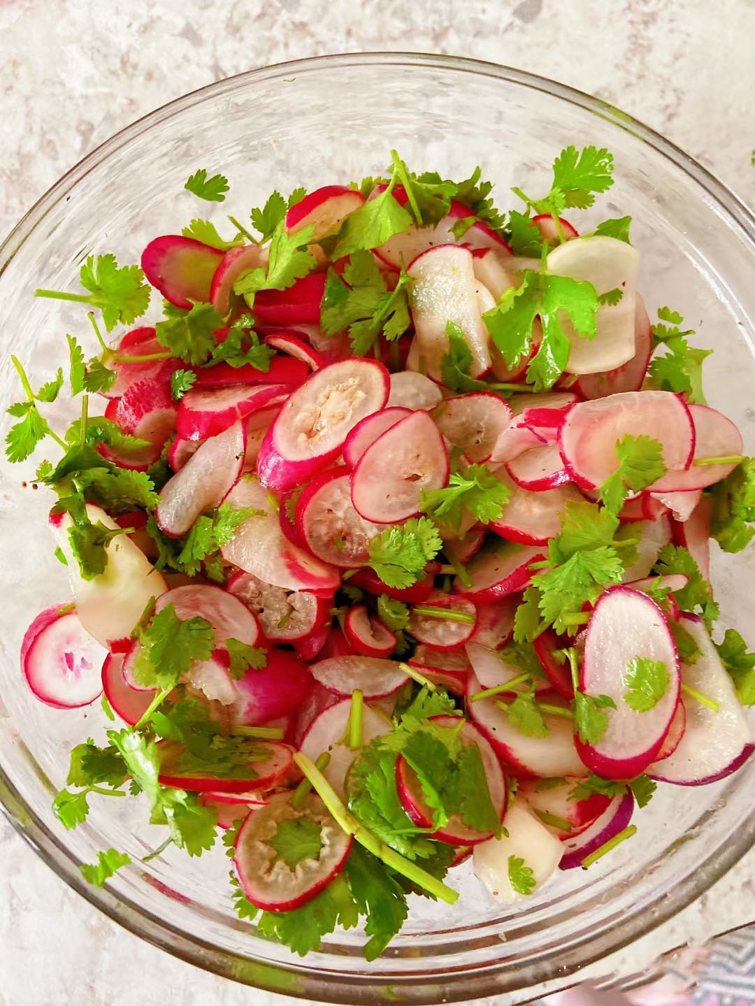 20 Day Miracle Grow Organic Cherry Radish🍒