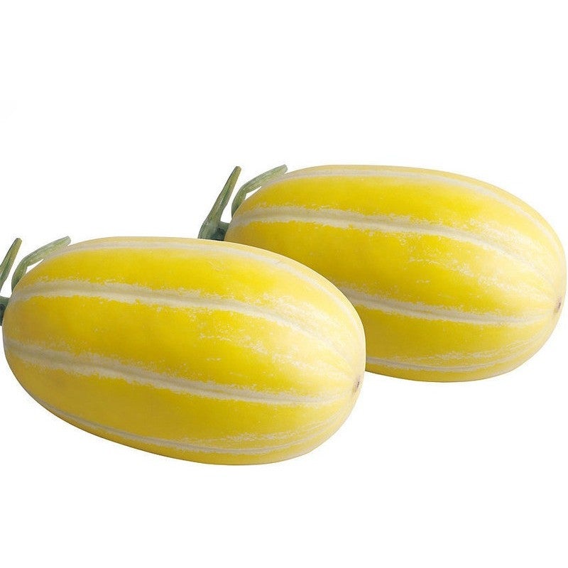 Cantaloupe Seeds-chloriseeds