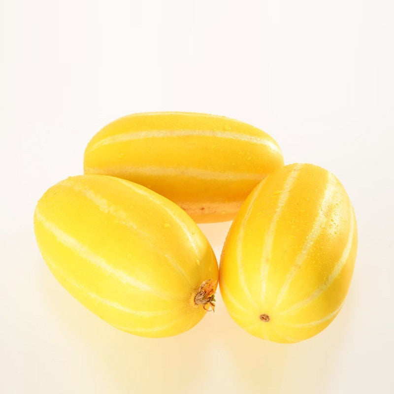 Cantaloupe Seeds-chloriseeds