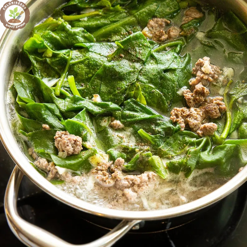 Giant Malabar Spinach