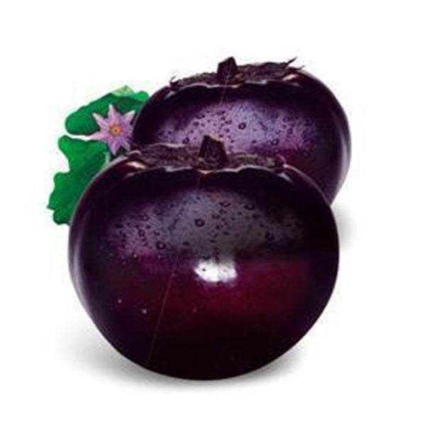 Beijing eggplant round organic vegetable eggplant seeds 100seed-chloriseeds