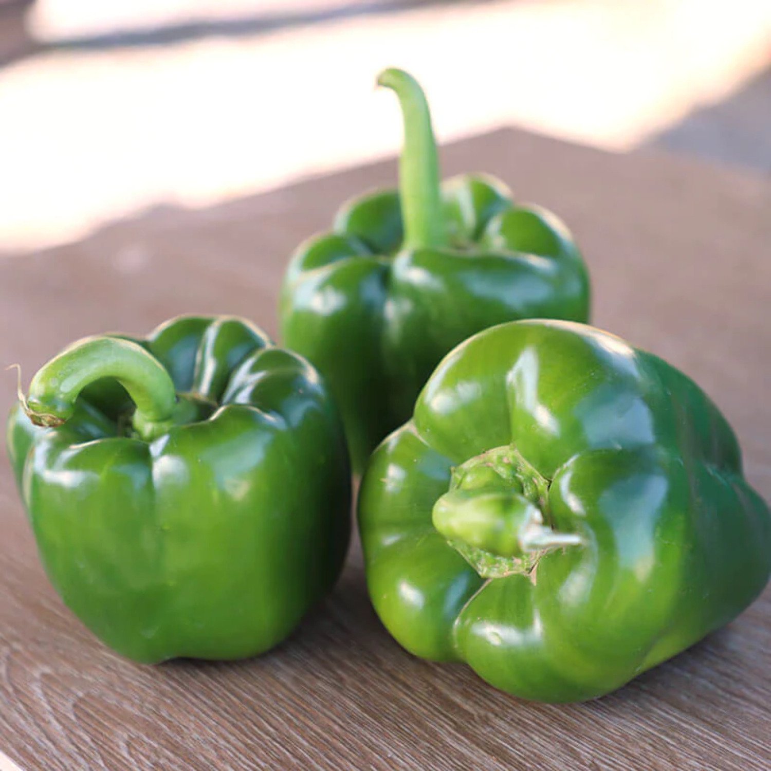 Rainbow Sweet Bell Pepper Seeds