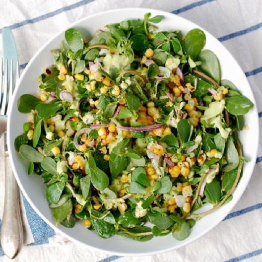 Purslane Seeds - Green-chloriseeds