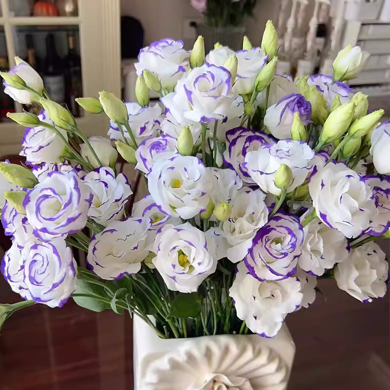 Multi-Color Eustoma Grandiflorum Seeds-chloriseeds