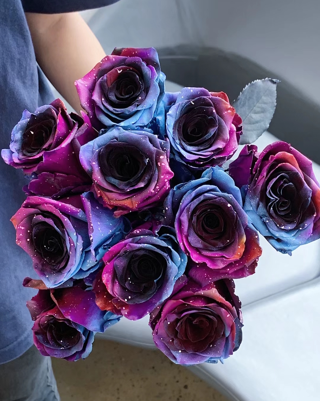 Starry Sky Roses-chloriseeds